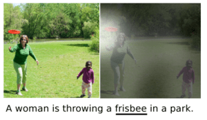 show_attend_and_tell_Fig3