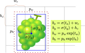 YOLOの制約ありバウンディンボックス回帰