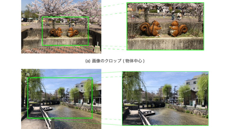 画像のクロップ (image cropping)
